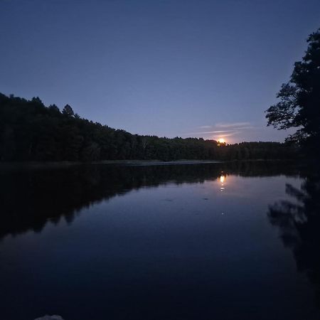 Villa Lesna Ostoja Radowo Male Esterno foto