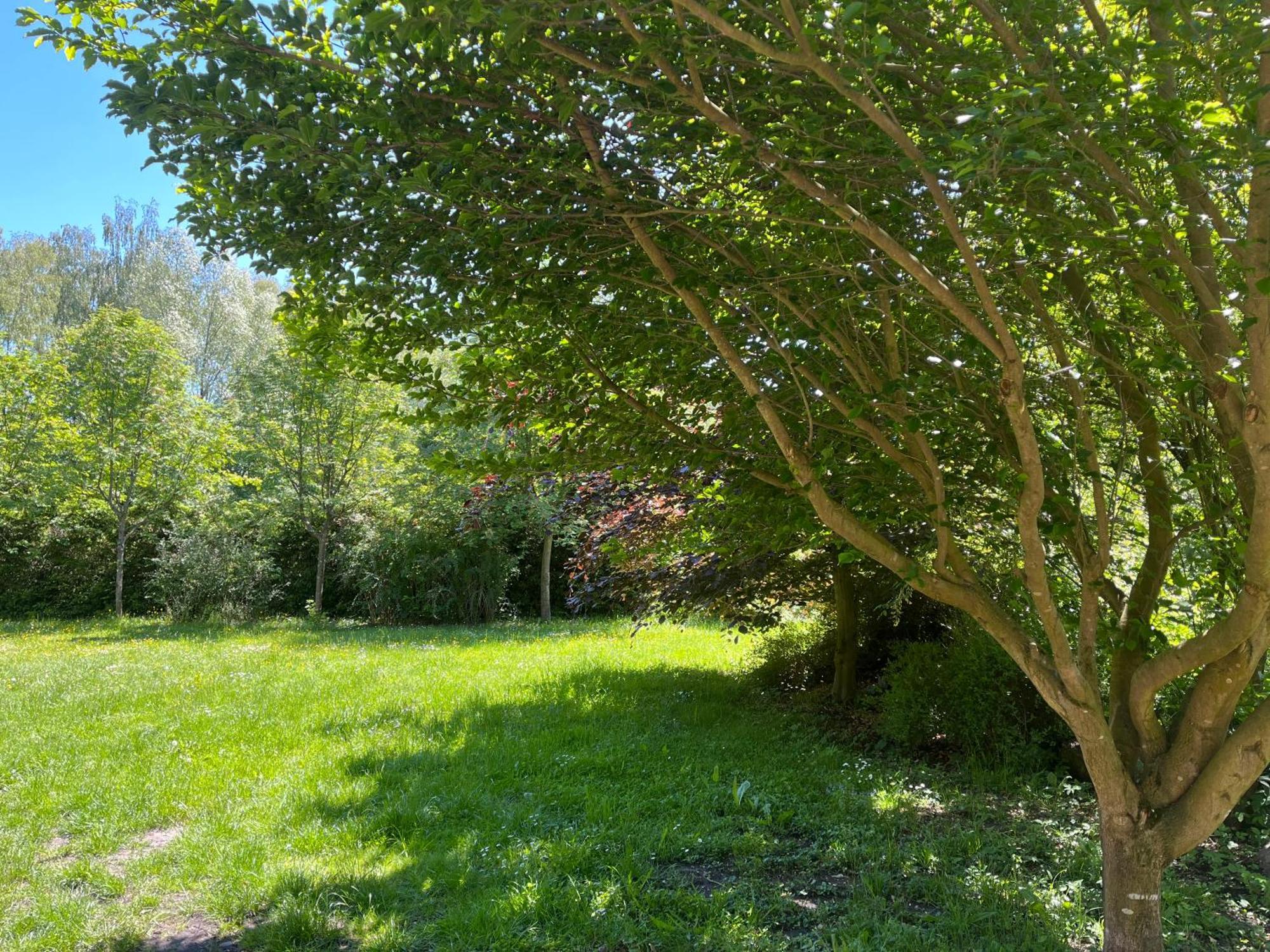 Villa Lesna Ostoja Radowo Male Esterno foto